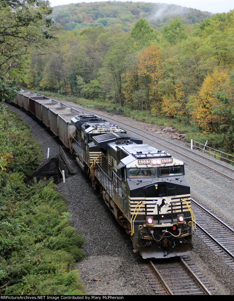 NS 4503 West